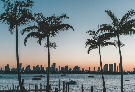 Évasion en Floride, luxe et aventure en famille
