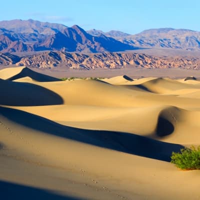 Découverte de Death Valley