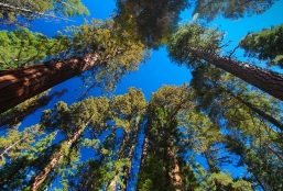 Escapade en Californie du Sud