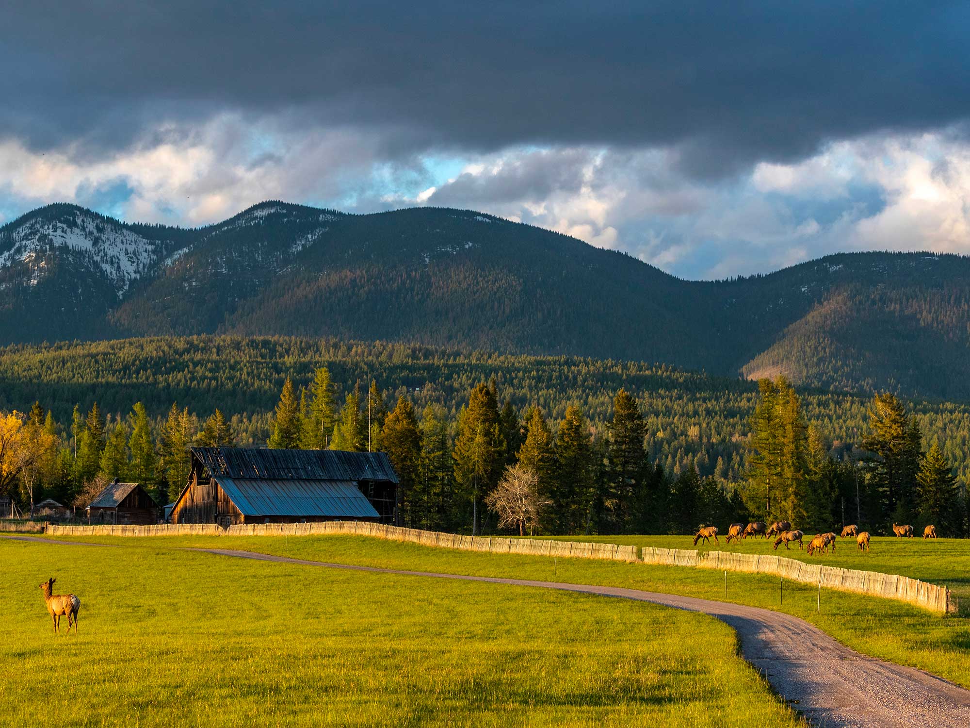 Un Ranch dans le Montana, séjour d’exception